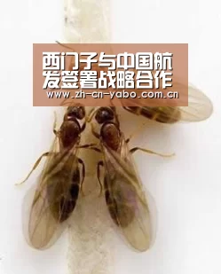 西门子与中国航发签署战略合作协议:亚博网站(图3) 亚博平台