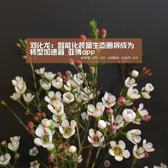 刘化龙:智能化装备生态圈将成为转型加速器_亚博app(图2) 亚博官网