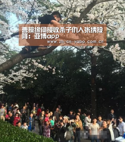 曹操缘何接收杀子仇人张绣投降:亚博app(图1) 亚博网站