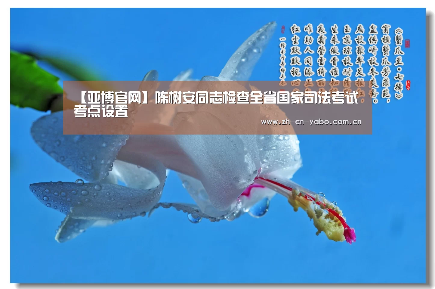 【亚博官网】陈树安同志检查全省国家司法考试考点设置(图2) 亚博官网