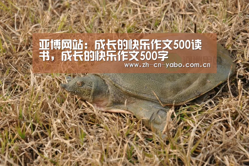 亚博网站:成长的快乐作文500读书,成长的快乐作文500字(图2) 亚博app