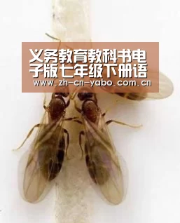 义务教育教科书电子版七年级下册语文,义务教育课程标准试验教科书【亚博平台】(图3) 亚博app